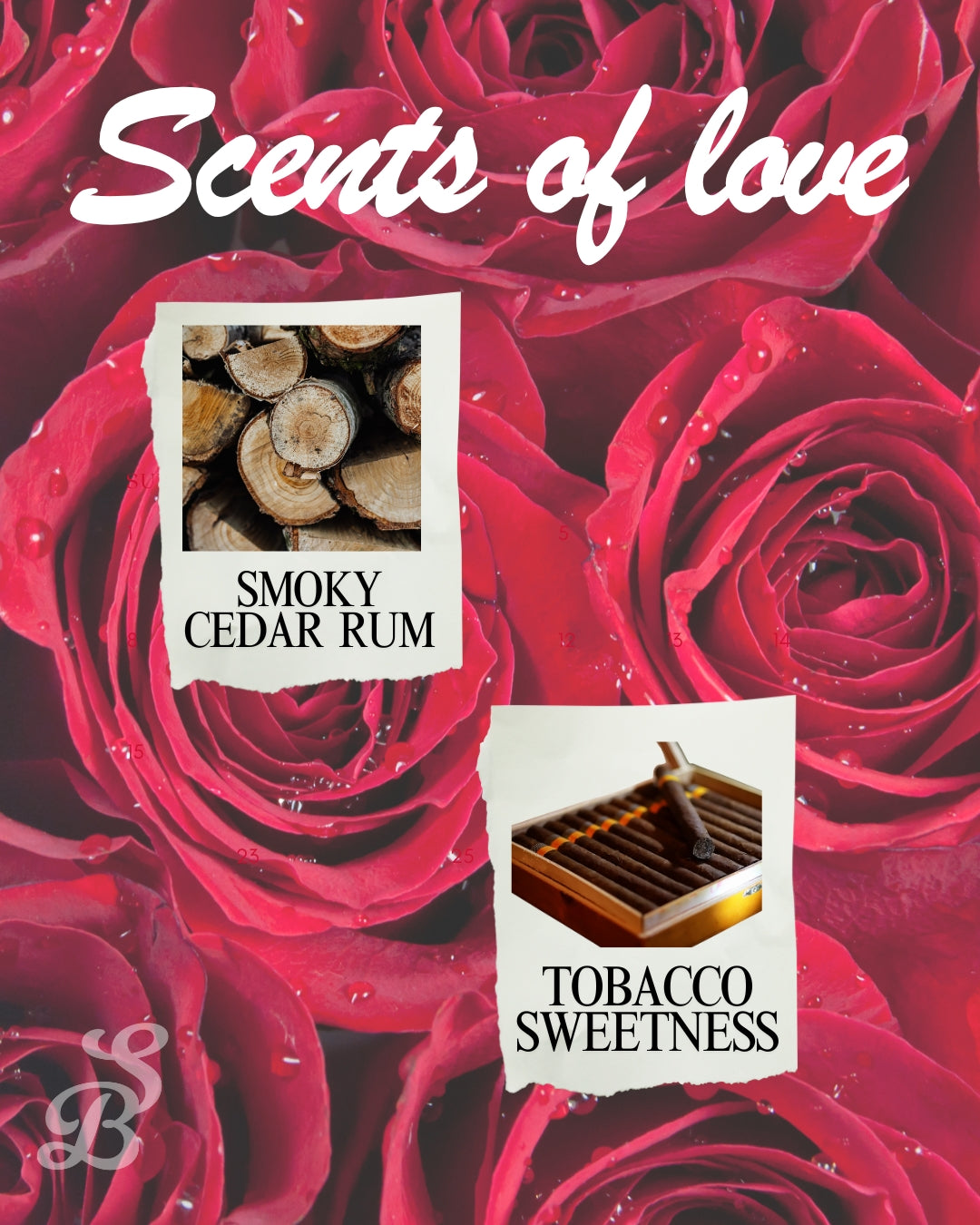 A Sweet Valentine's Bundle [PRE-ORDERS]